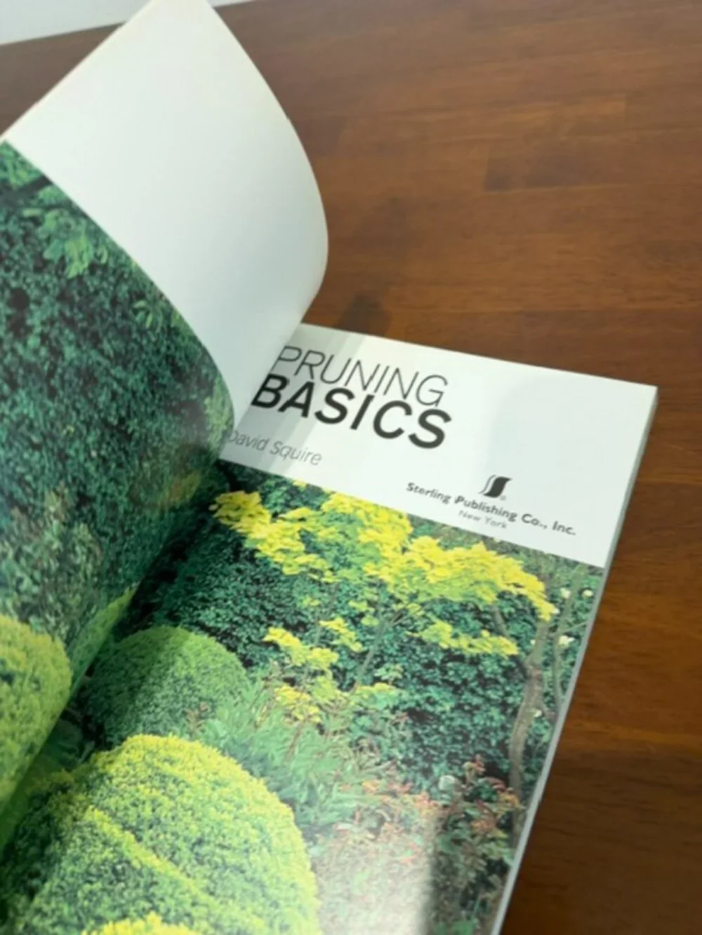 N/A pruning basics