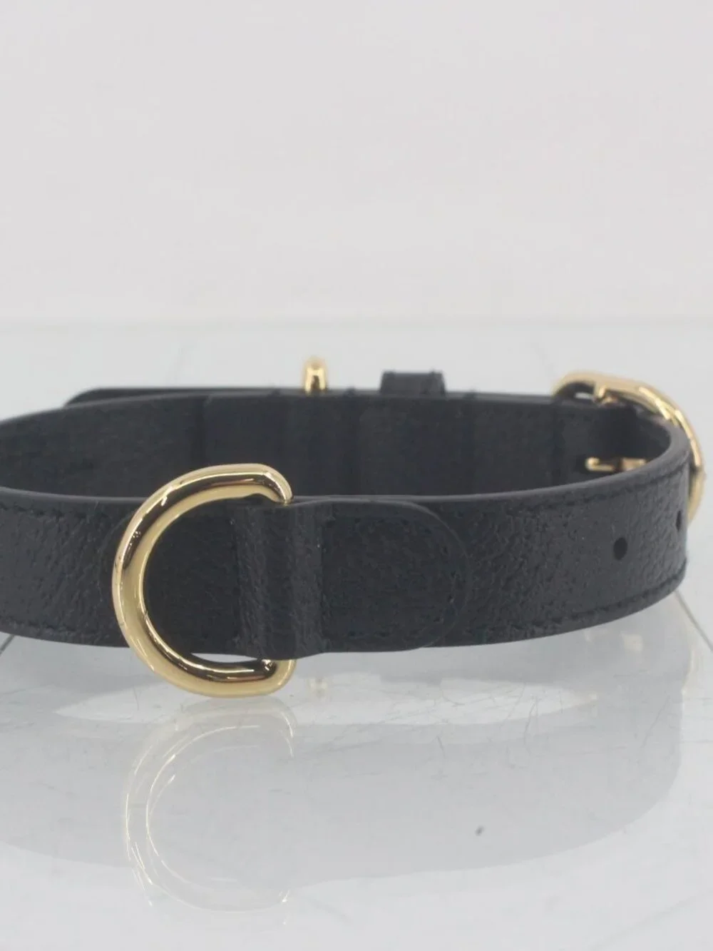 Gucci Dog Collar in Dustbag & Box