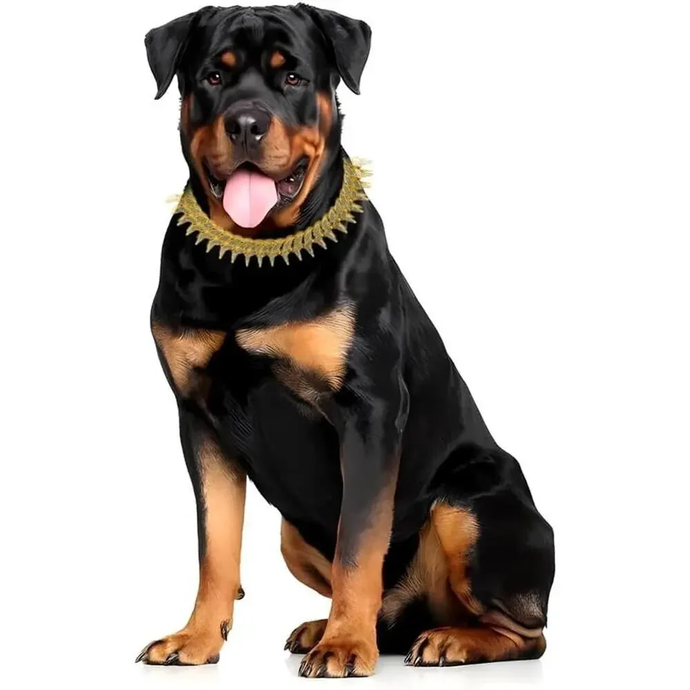 Source Unknown gold dog