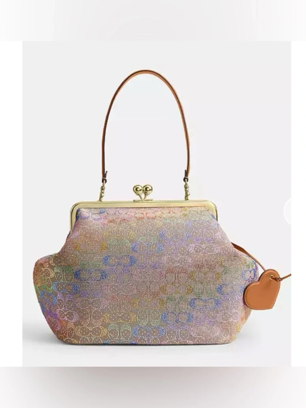 Coach brand new