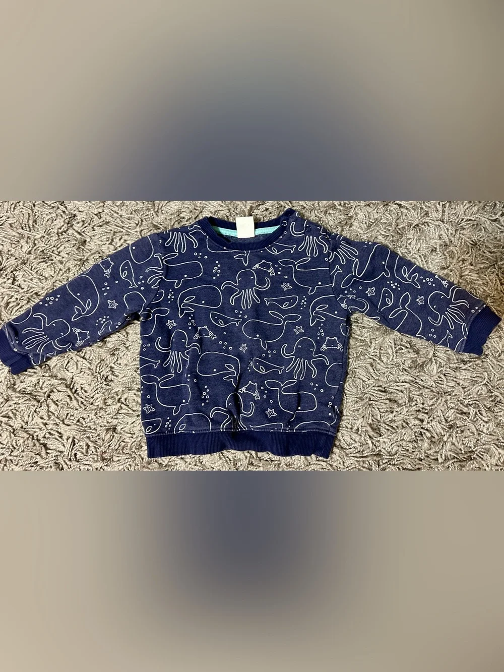 Gymboree navy pullover
