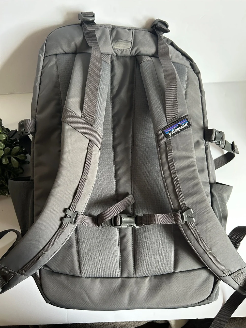 Patagonia sleek gray