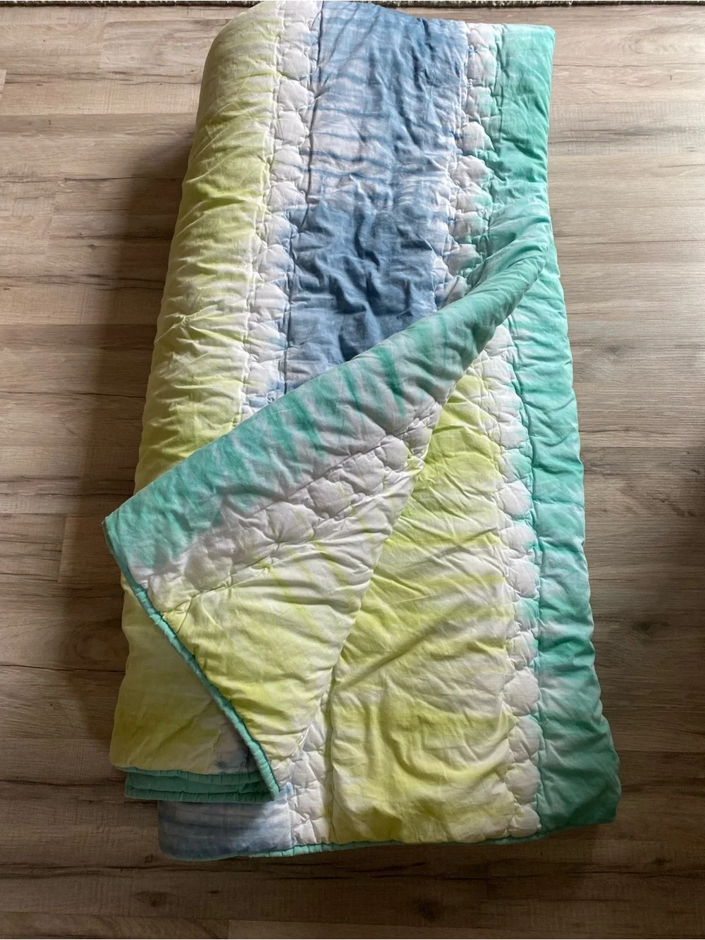 Pottery Barn Teen weight plush