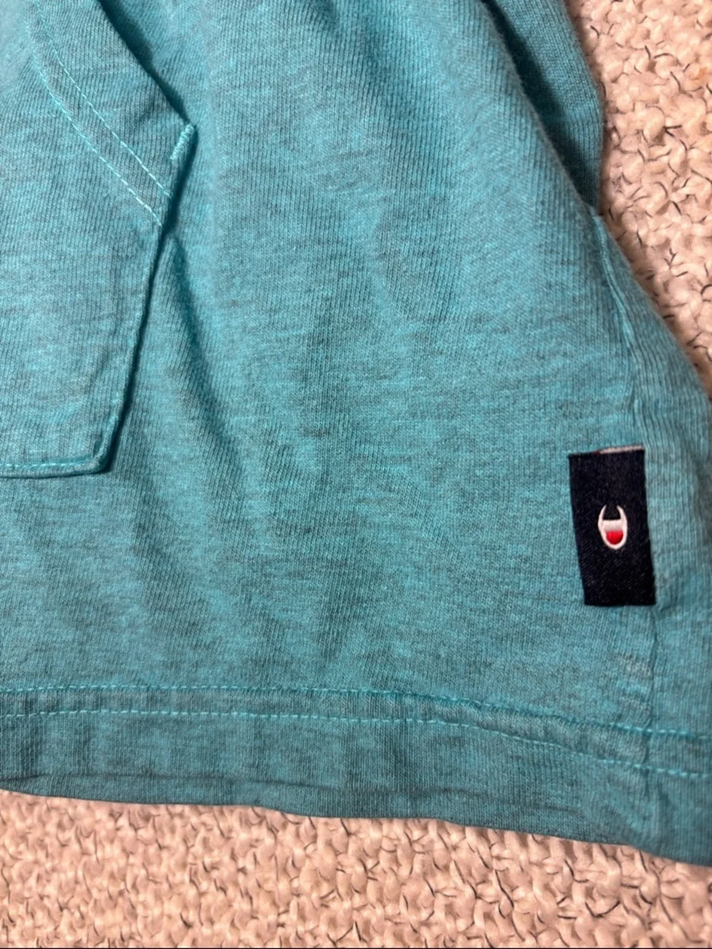 Champion Men's Hooded Pullover Sweatshirt - Teal with Orange Logo