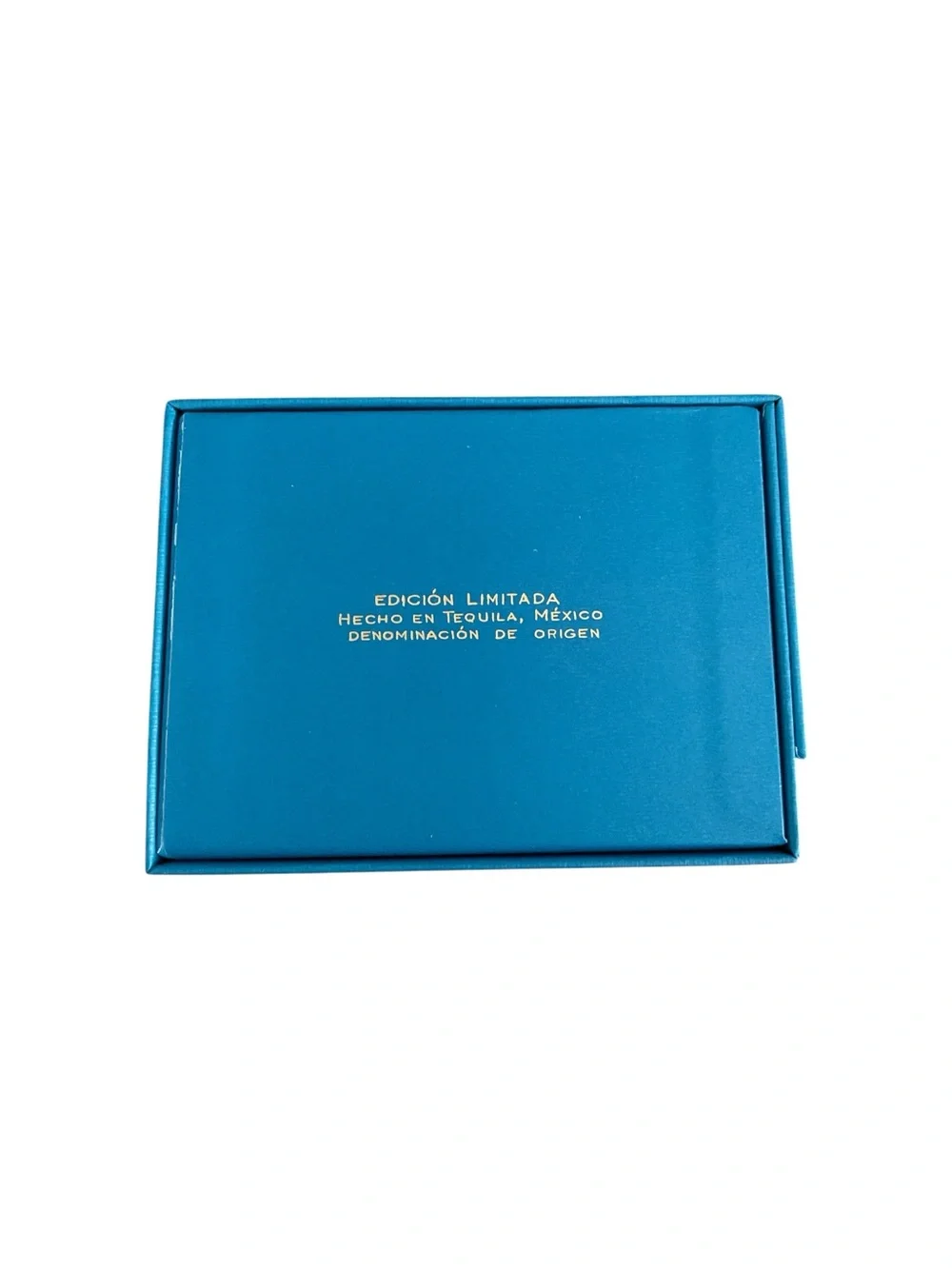 casa dragones elegant teal
