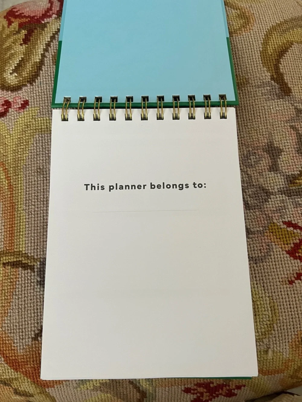 planicateur professional daily