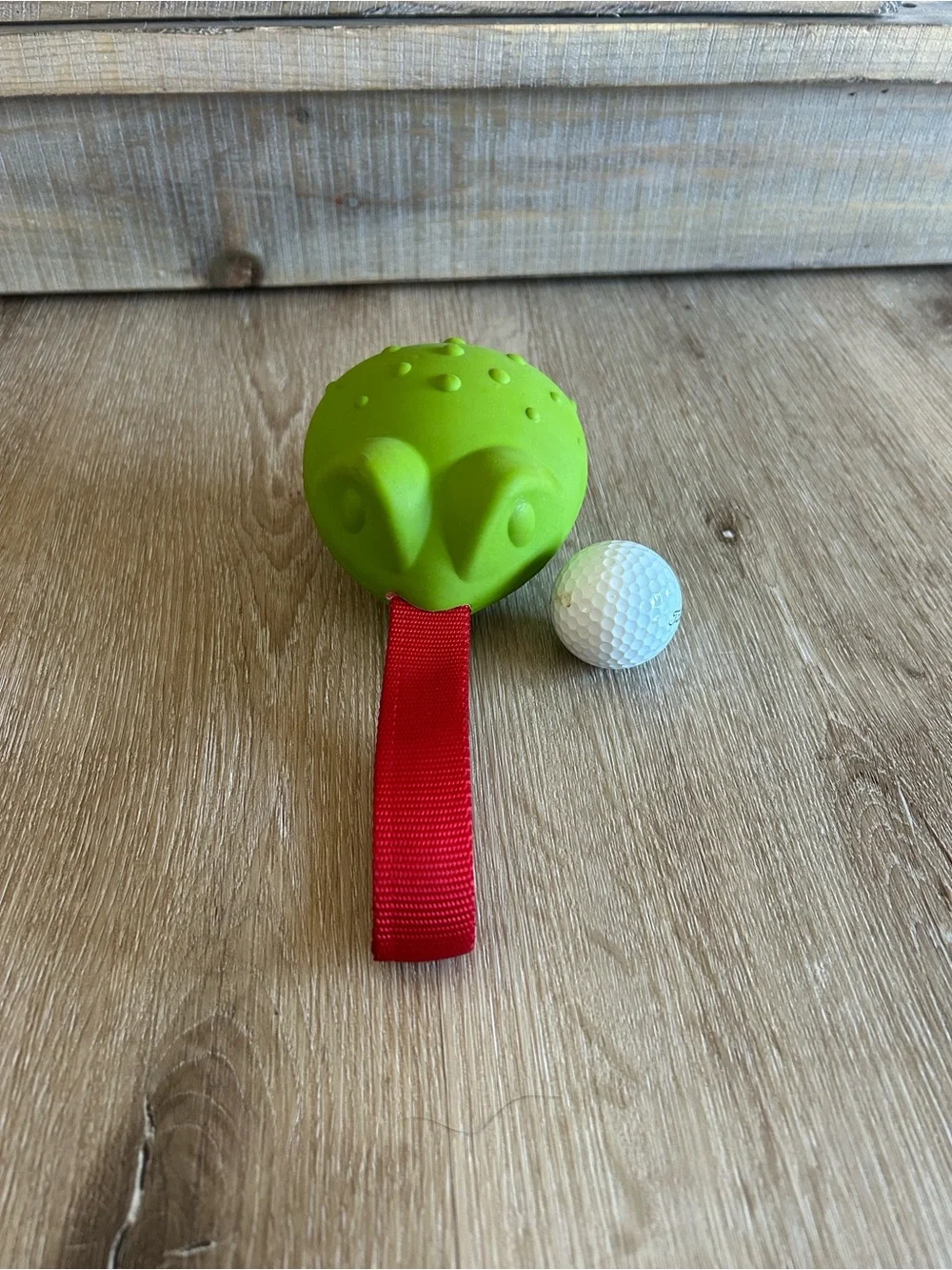 BARKBOX SUPER CHEWER Green Textured Toad Large Dog Tug Toy with Red Nylon Handle