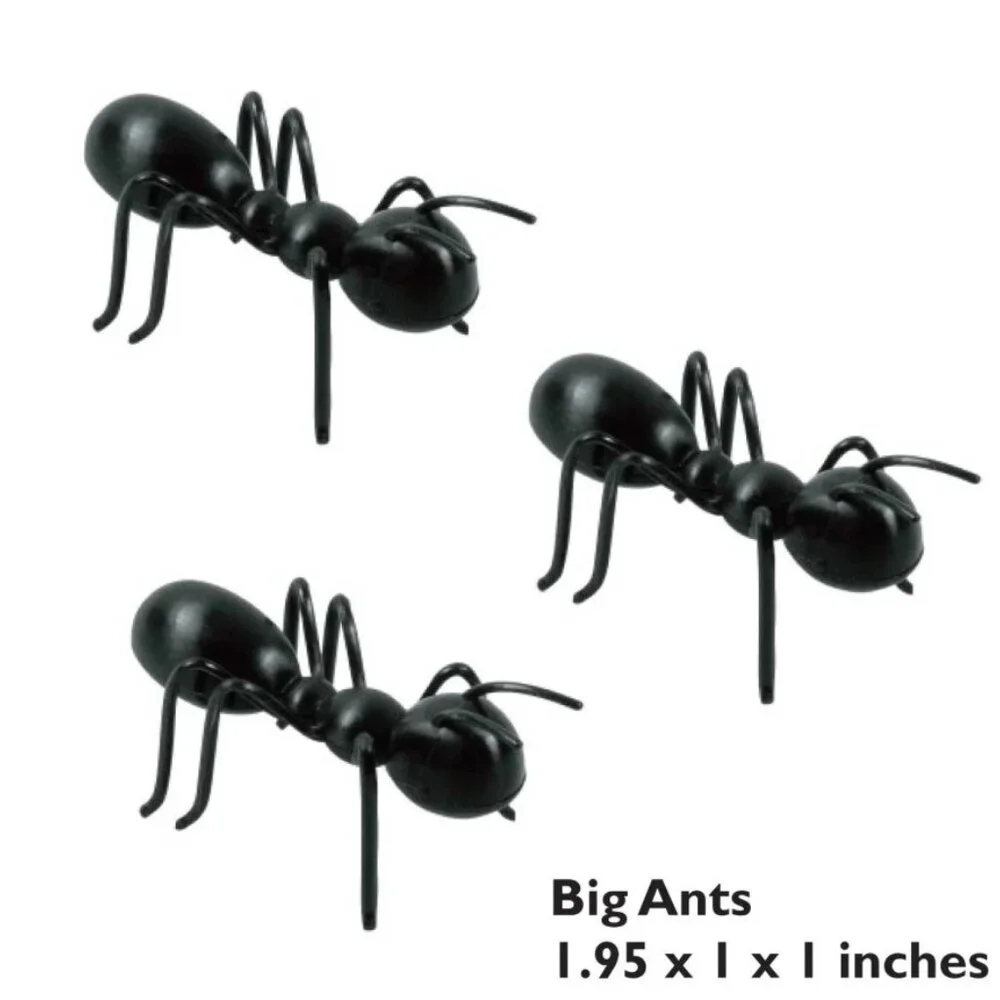Party City 24 ant