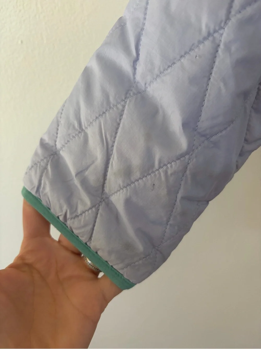 Patagonia polyester light lining