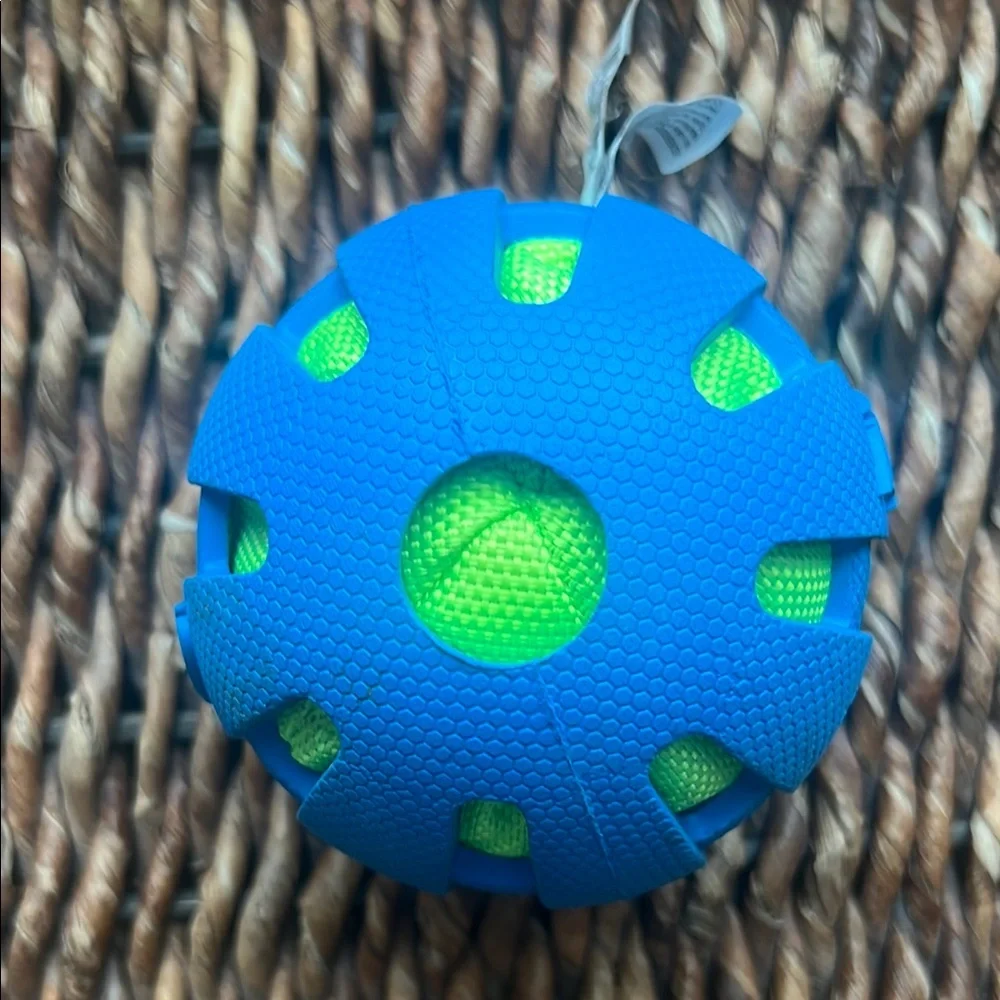 Nerf durable dog