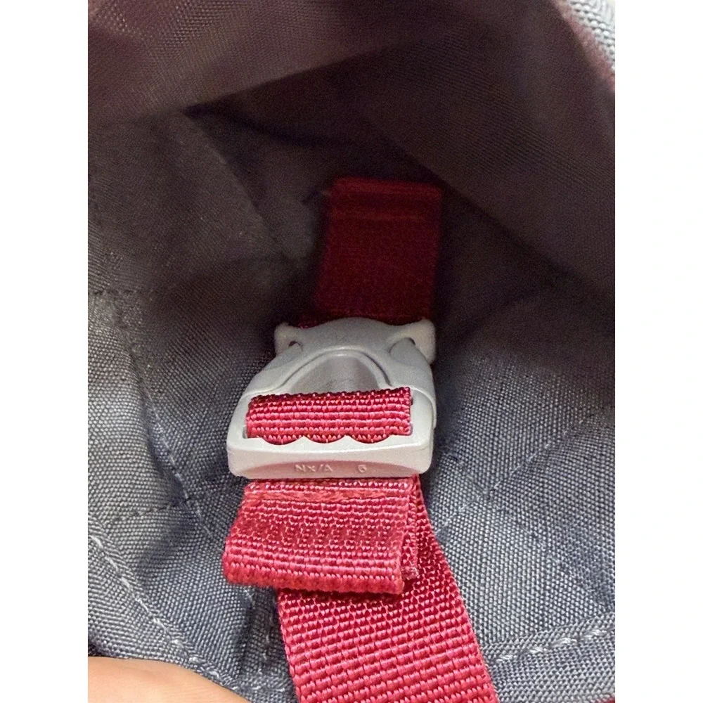 RuffWear small dog photos
