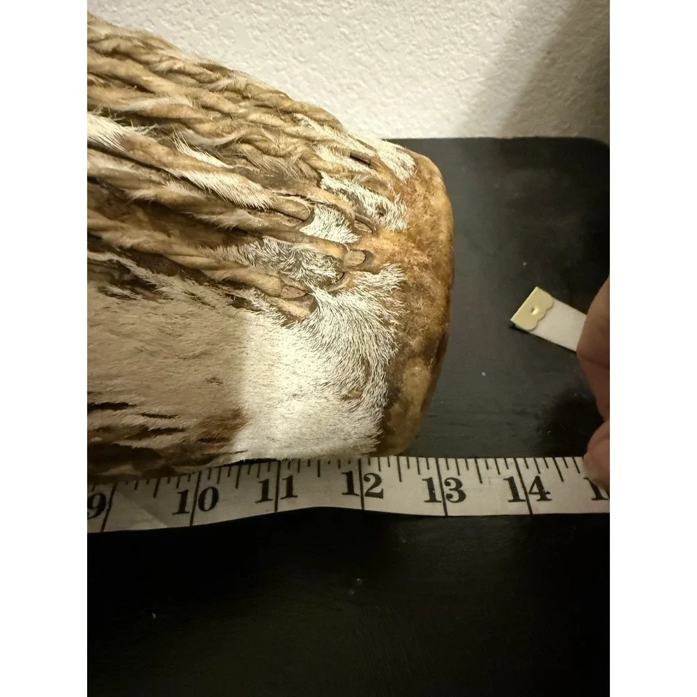 N/A instrument ensures zebra
