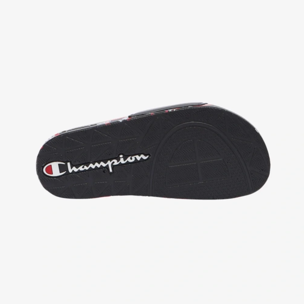 NIB Champion Slides