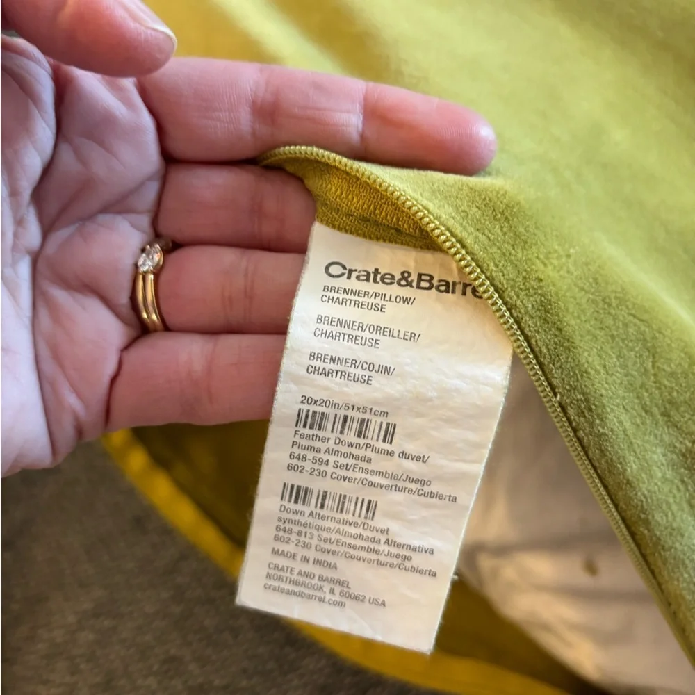 Crate & Barrel Brenner Relaxed Washed Organic Cotton Velvet 20