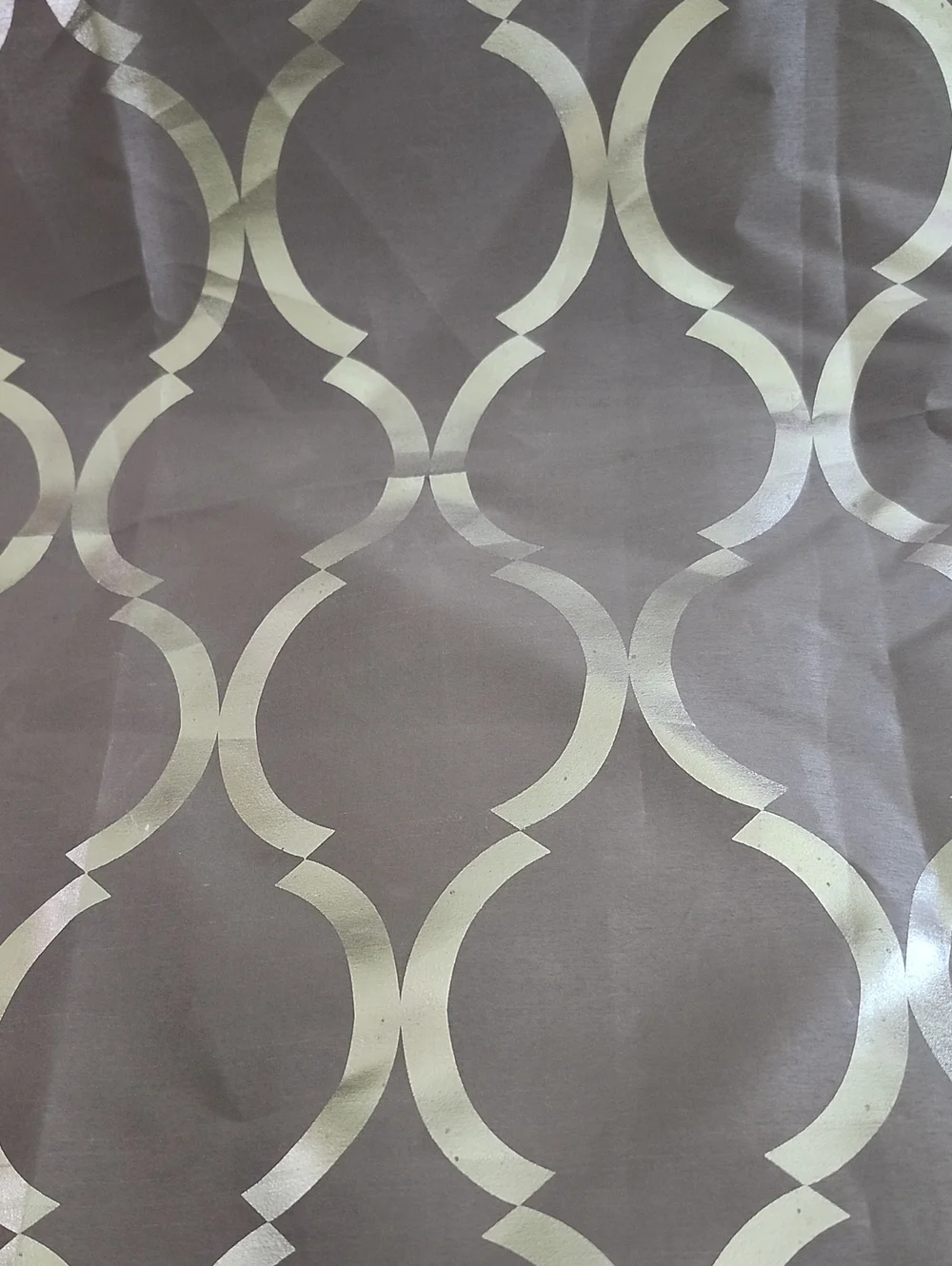 Shower Curtain
