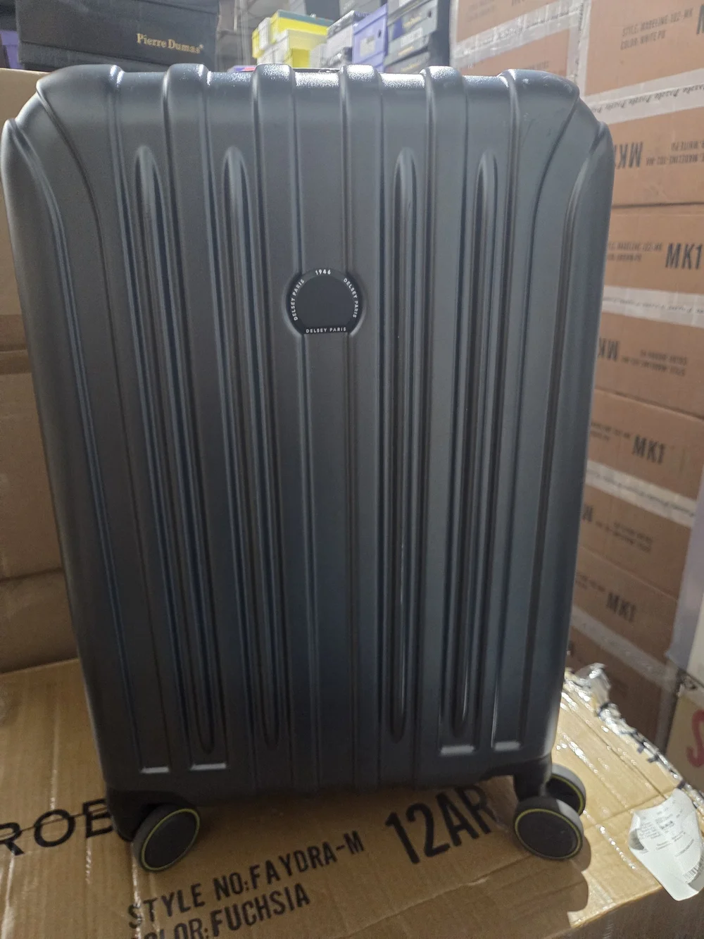 Delsey Paris vertical travel