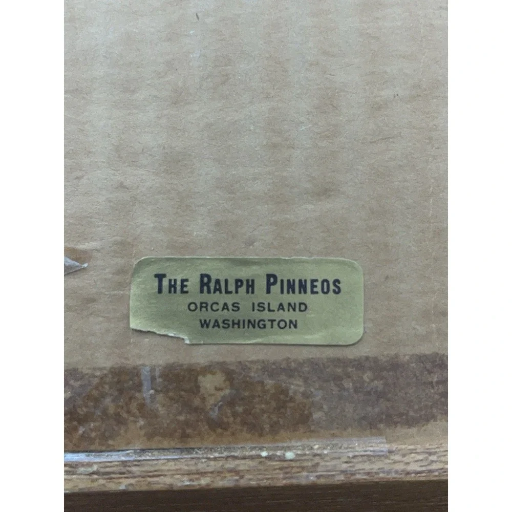 The Unbranded Brand good preowned