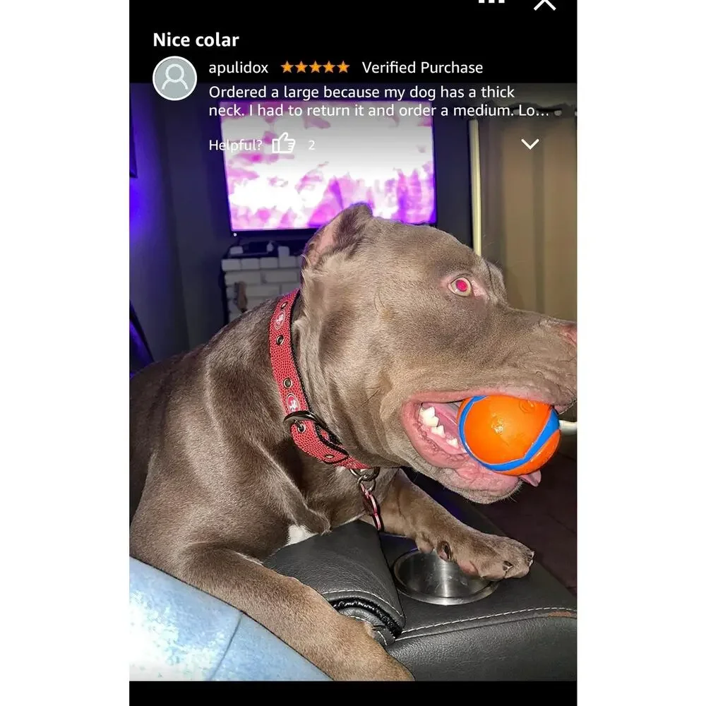 NFL pets tough