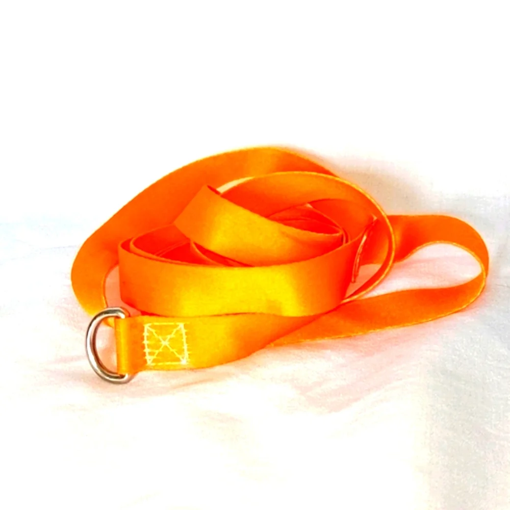 Neon Orange Lead Leash