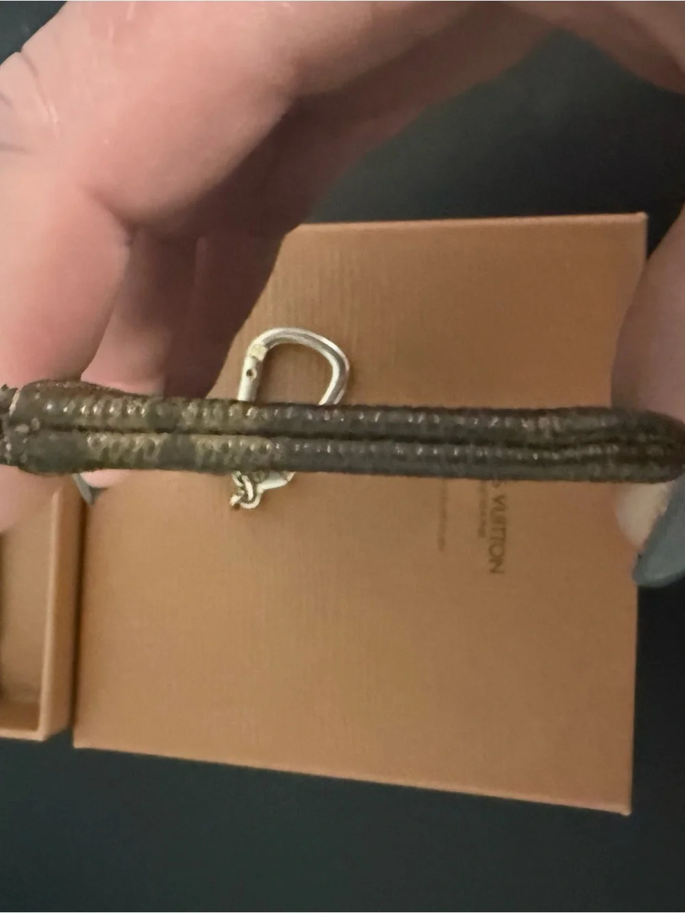 Louis Vuitton classic louis