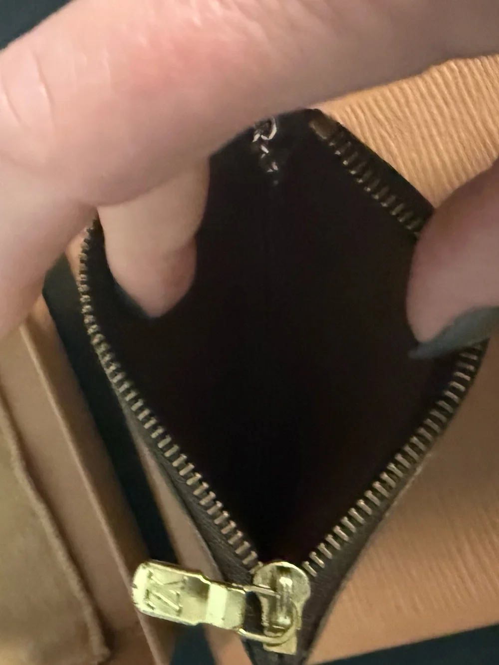 Louis Vuitton classic louis