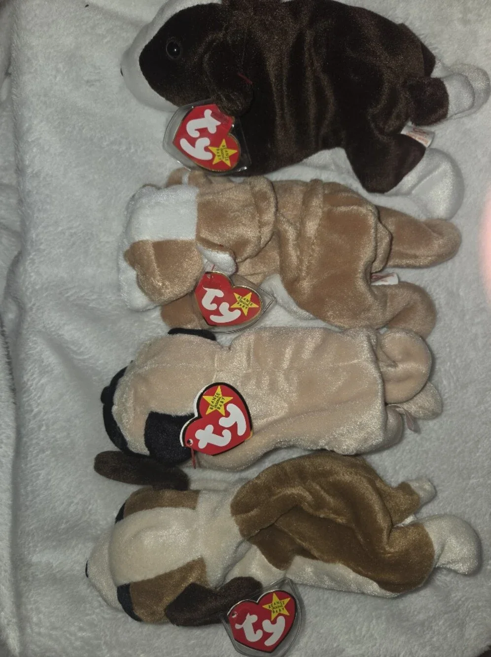 Ty Beanie Babies lot of 4 Puppys four ty