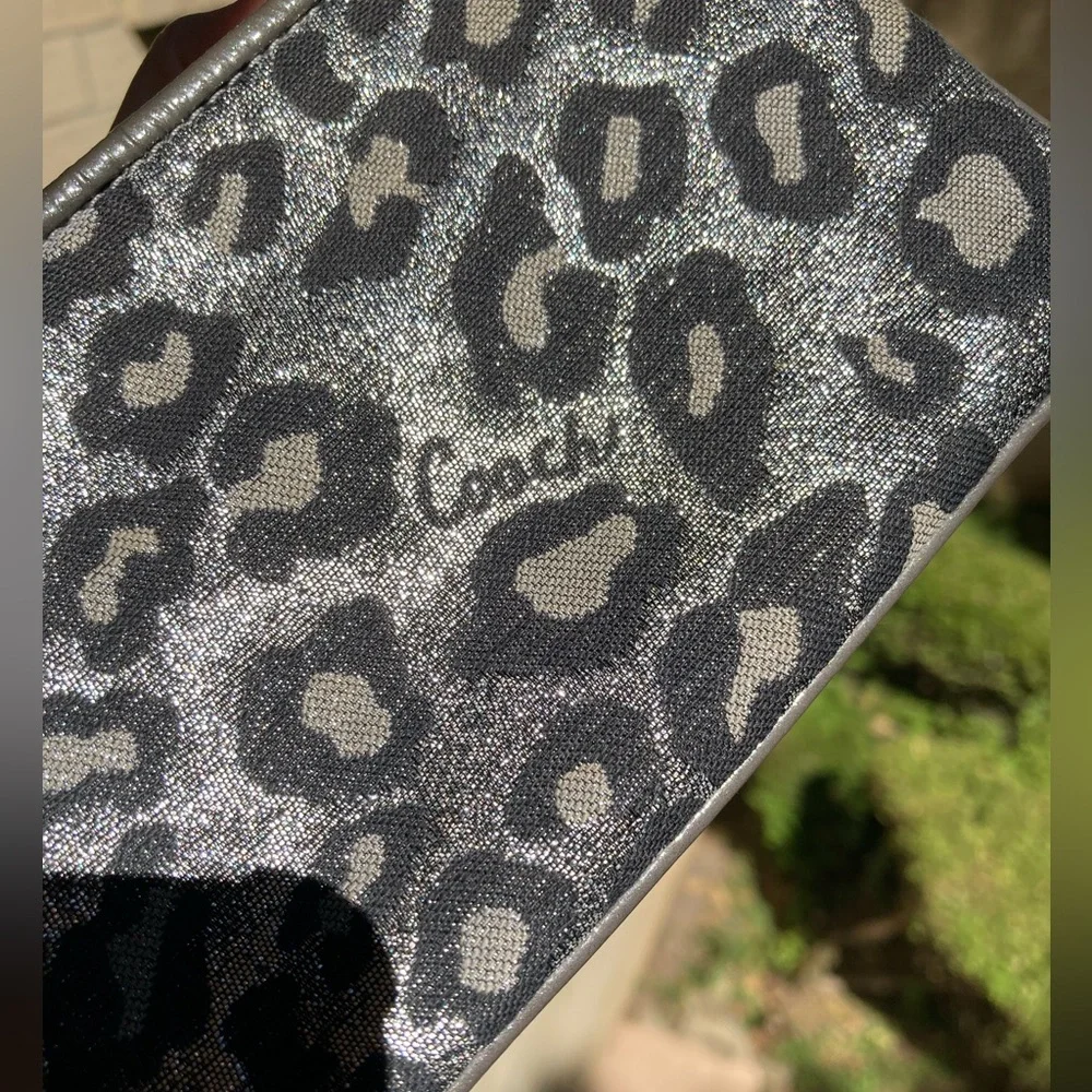 Coach metallic silver