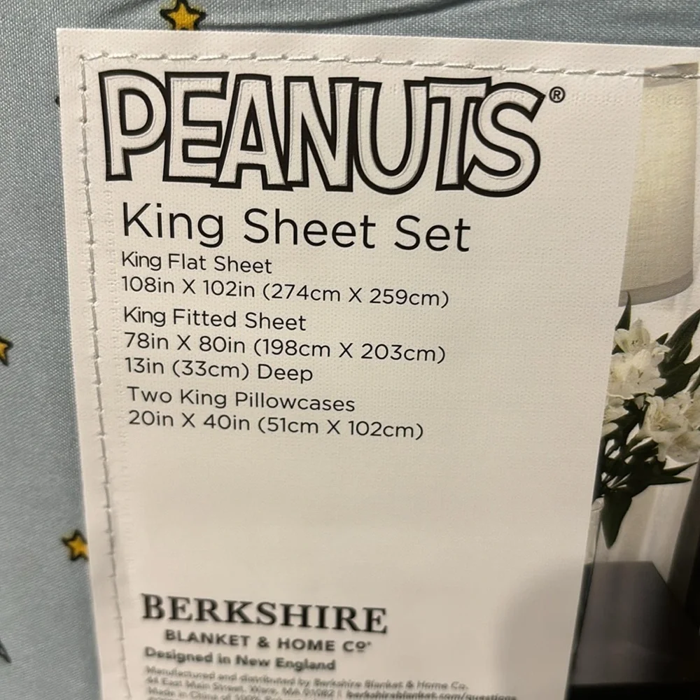 Peanuts new 2025