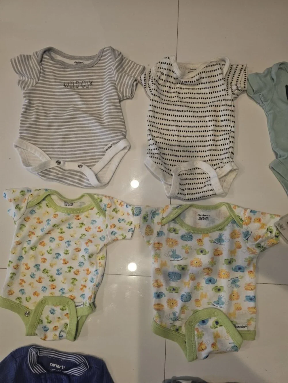 Carters modern normal