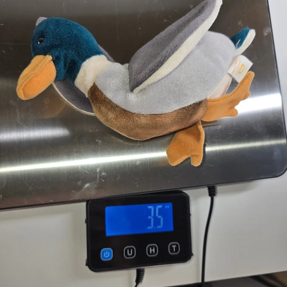 Ty Beanie Baby Jake the Mallard Duck Green Head Bird Plush‎ 1997 Vintage 4199