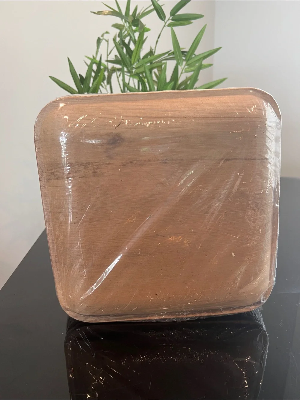 Charity Leaf brand new