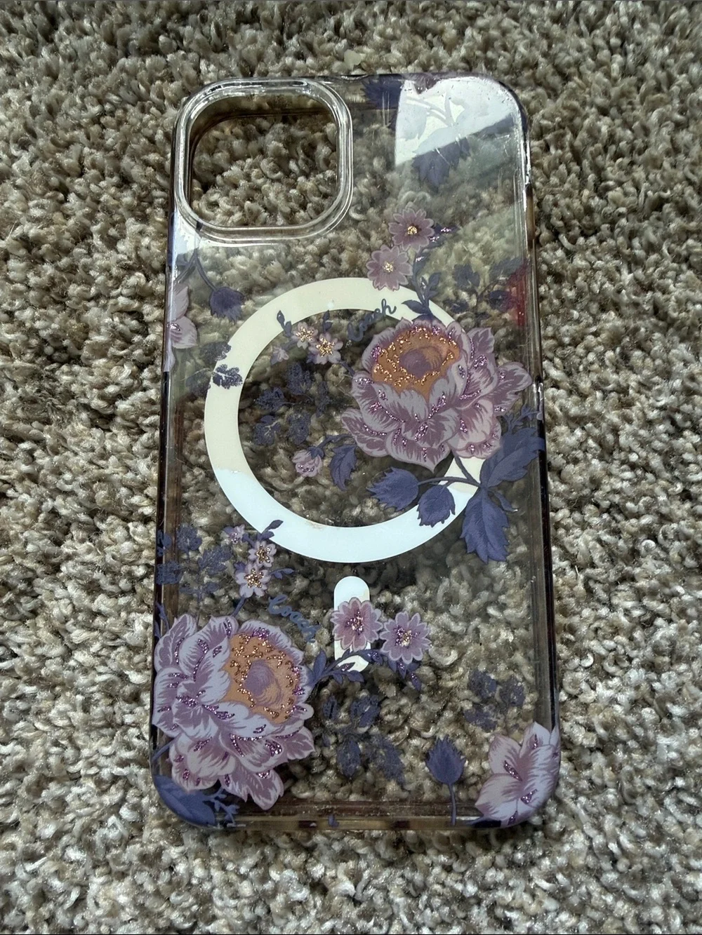Loopy Case coach black