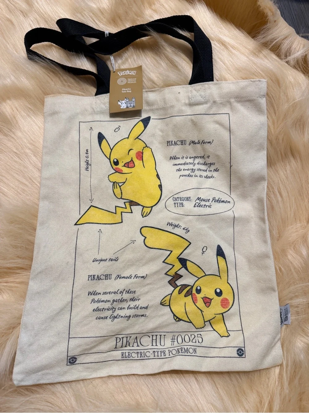 Pokemon illustrations use