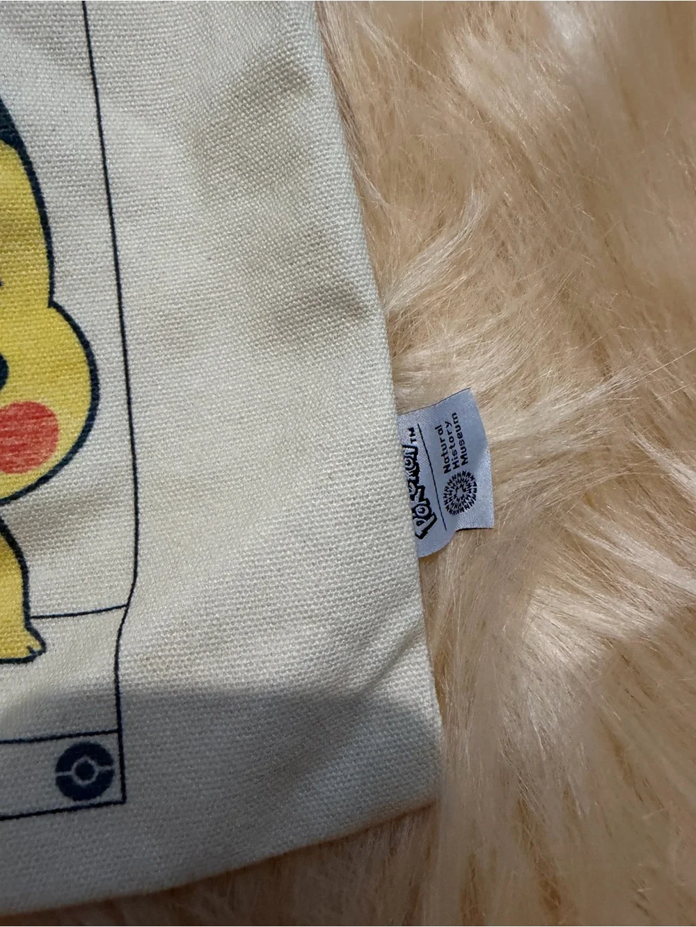 Pokemon canvas official