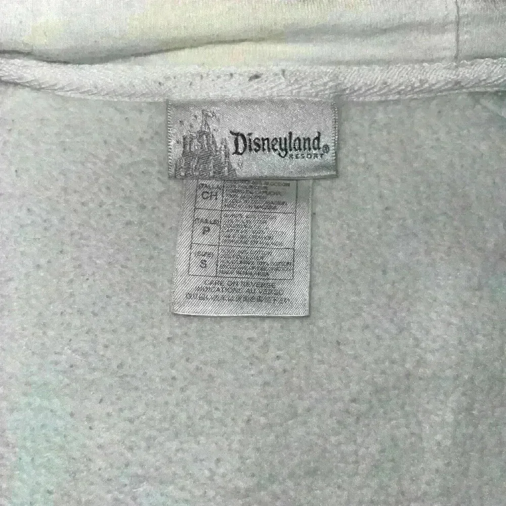 Disney pit 17
