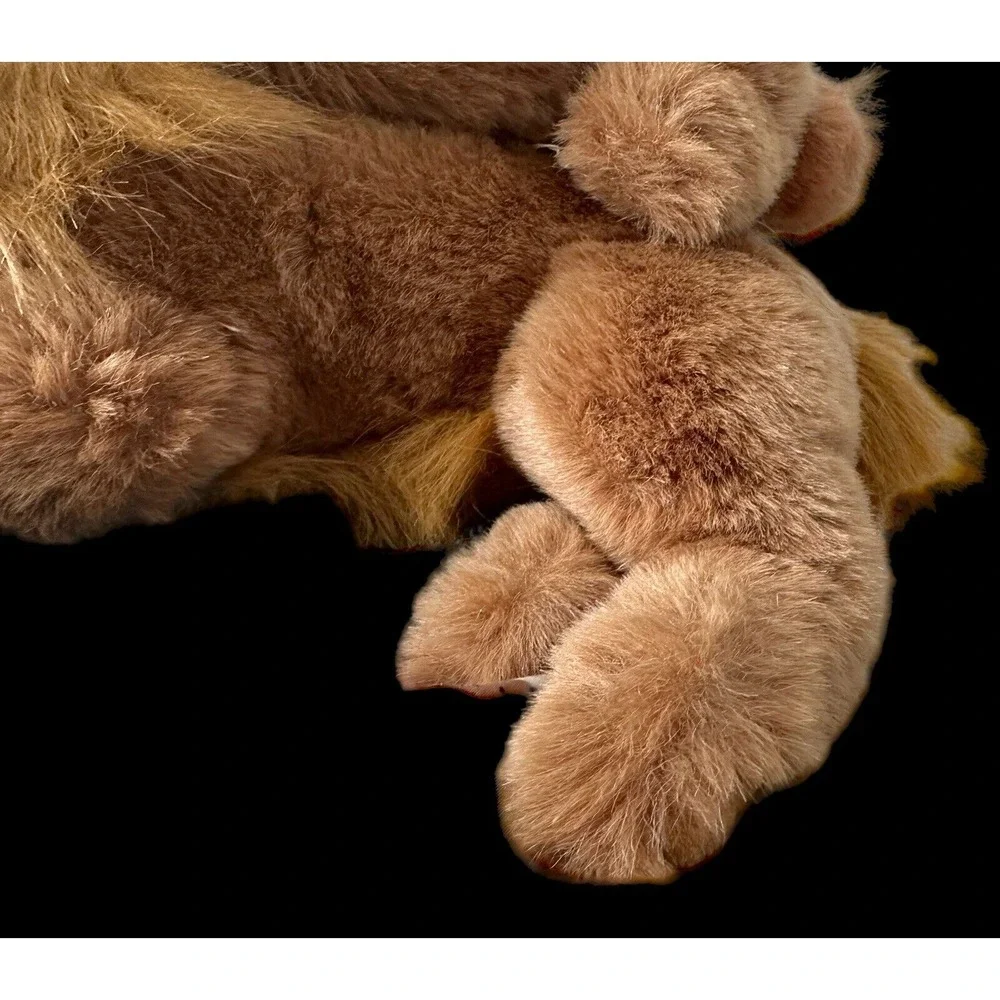N/A realistic cocker