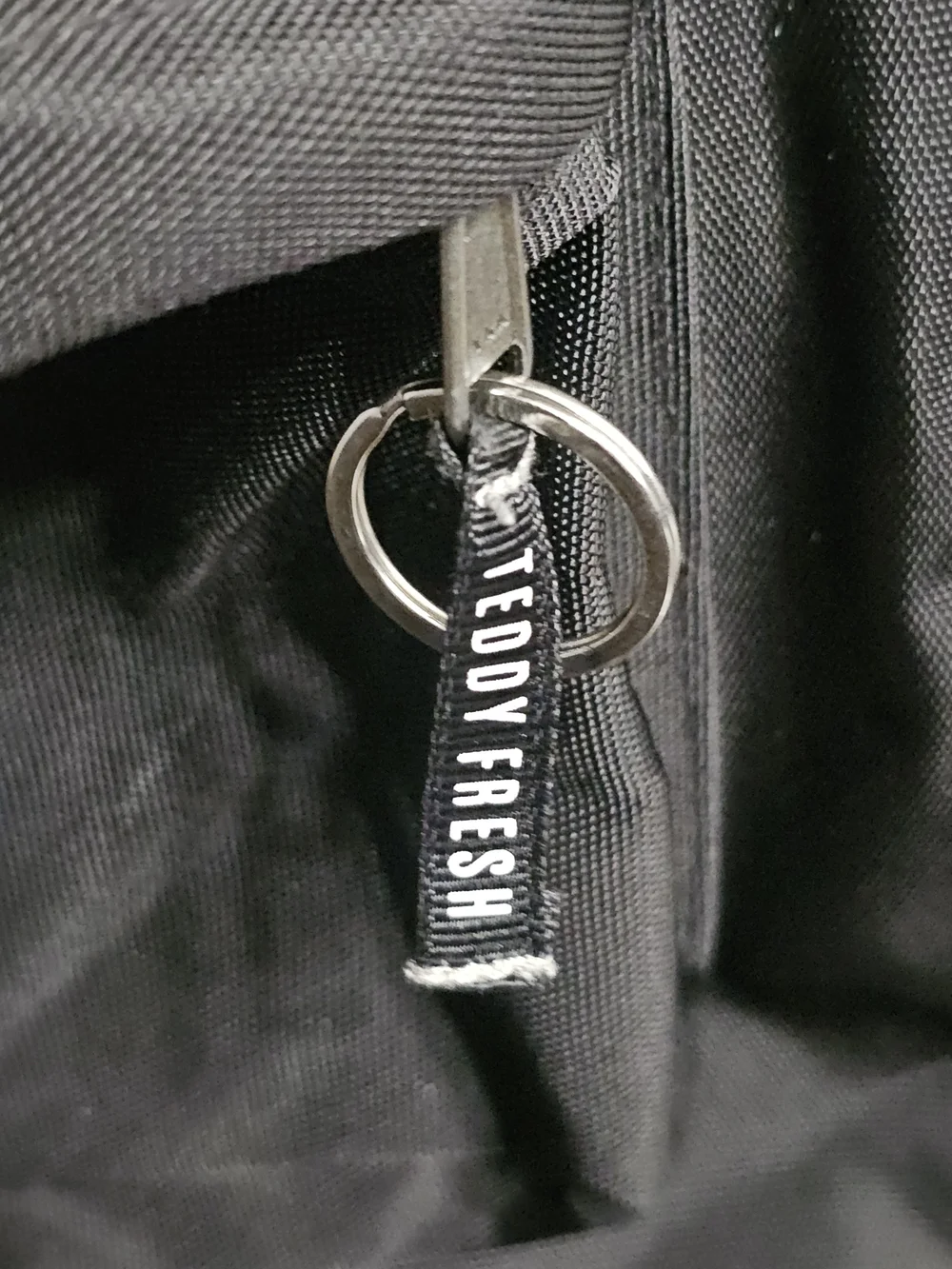 Teddy Fresh os pics