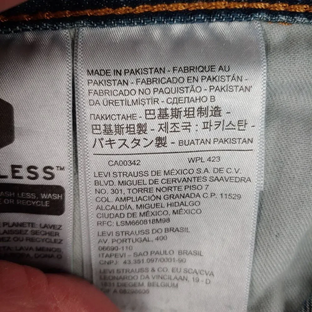 Levis levis 559