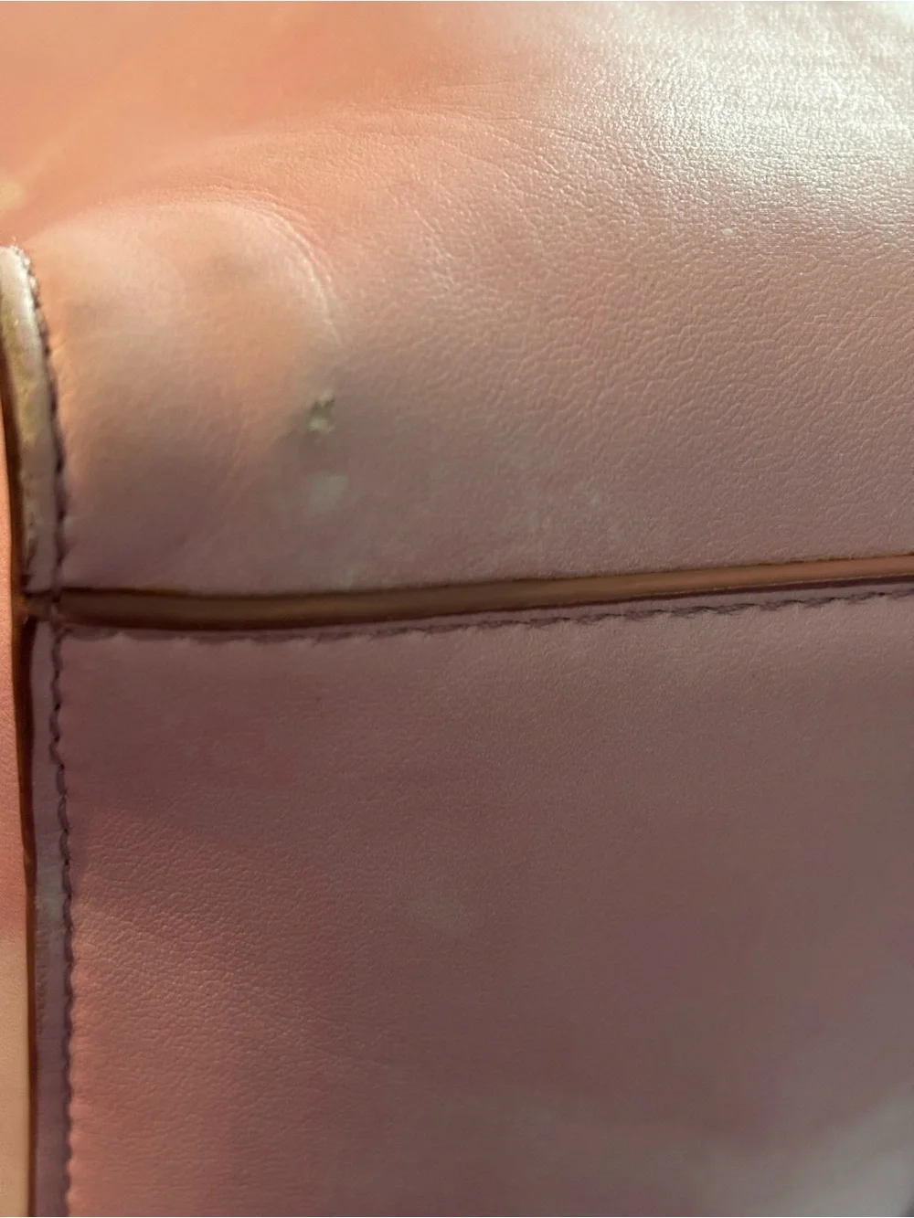 Stella McCartney please review