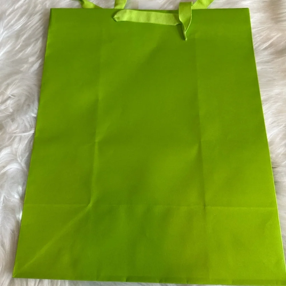 🩵5/$8 Vibrant Green gift Bag