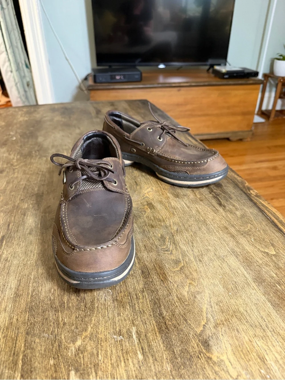Irish Setter pre owned