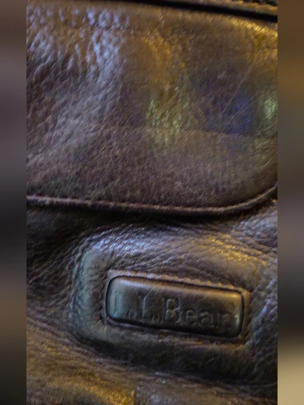 L.L. Bean bean traveler
