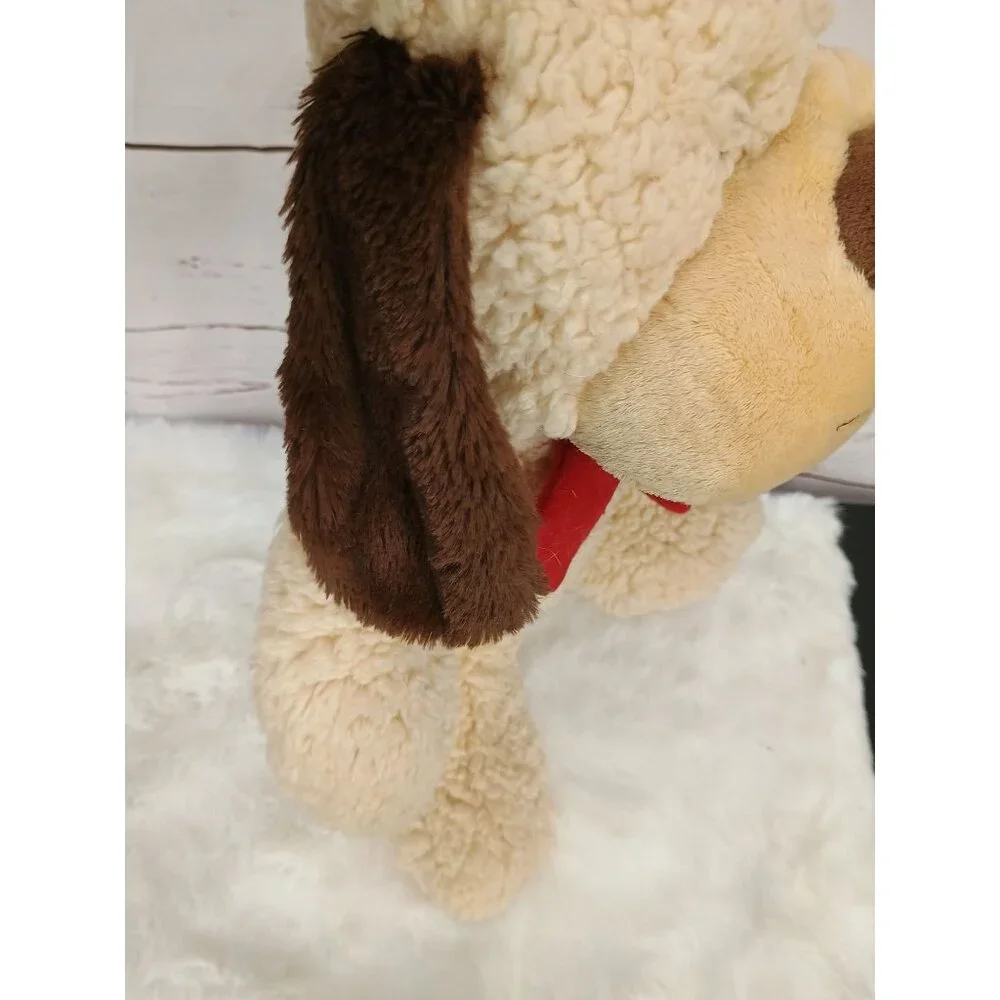 Petsmart bring home