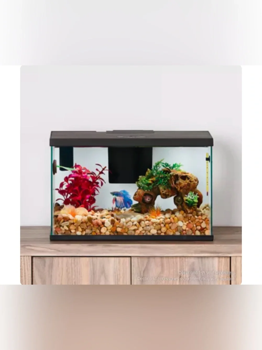 Petsmart top fin