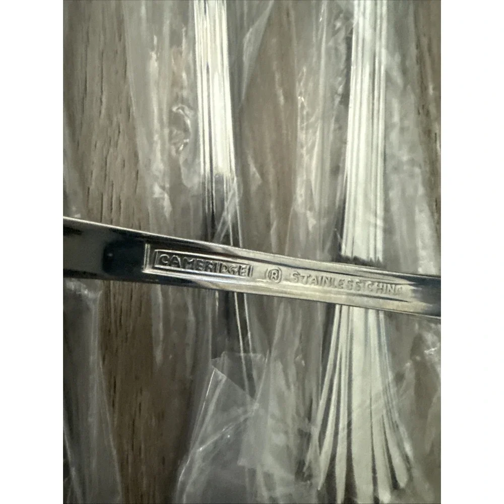 Set of 12 Vintage Cambridge TRACY Stainless Iced Tea Spoons‎ NOS