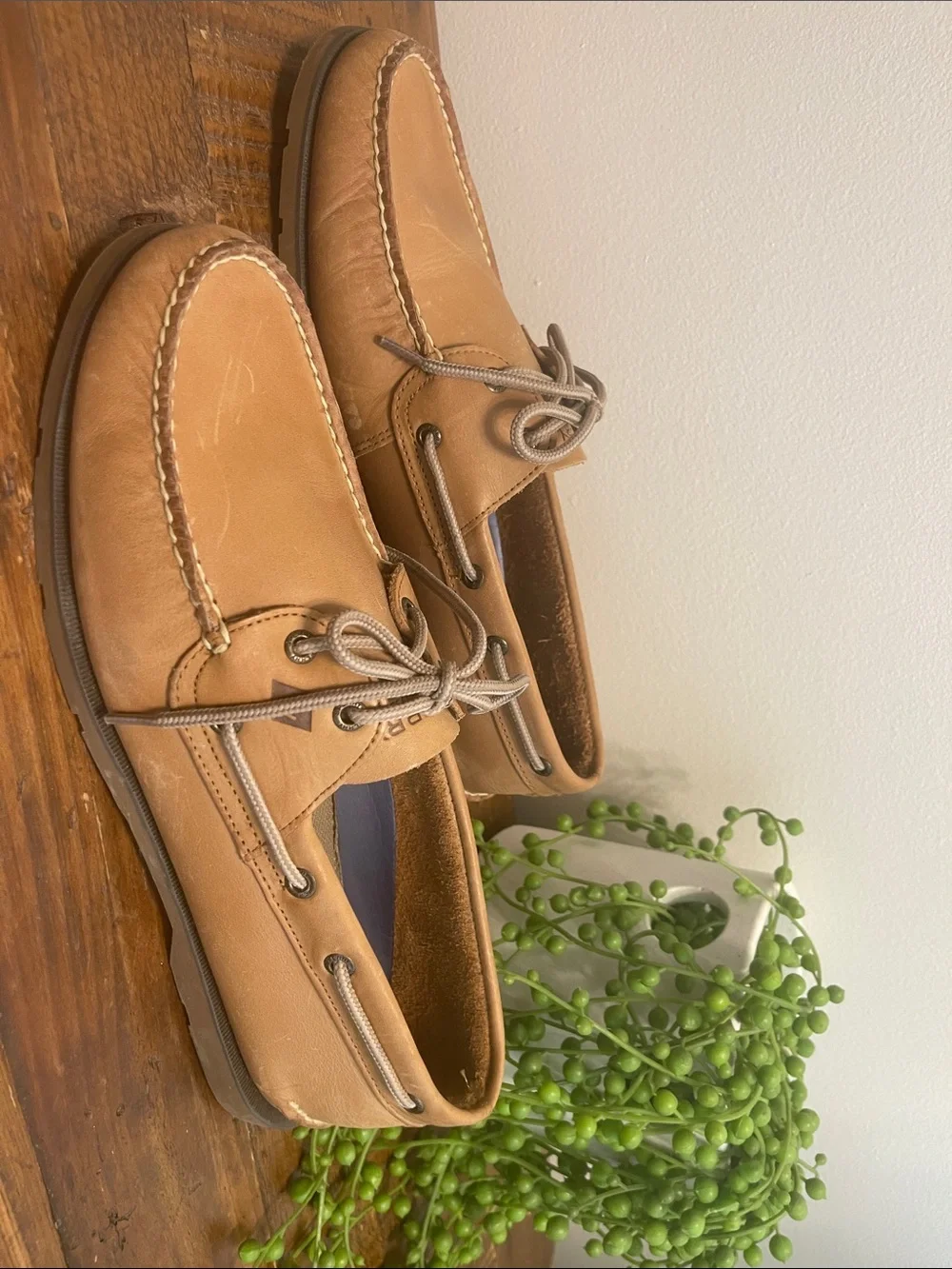 Sperry ** new