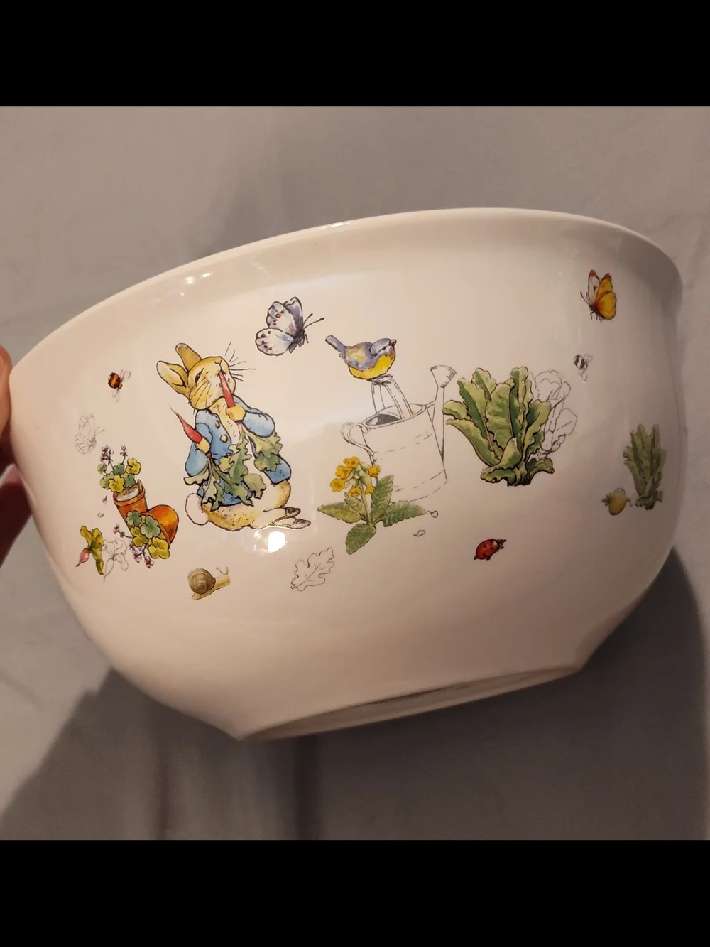 Williams Sonoma bowl other