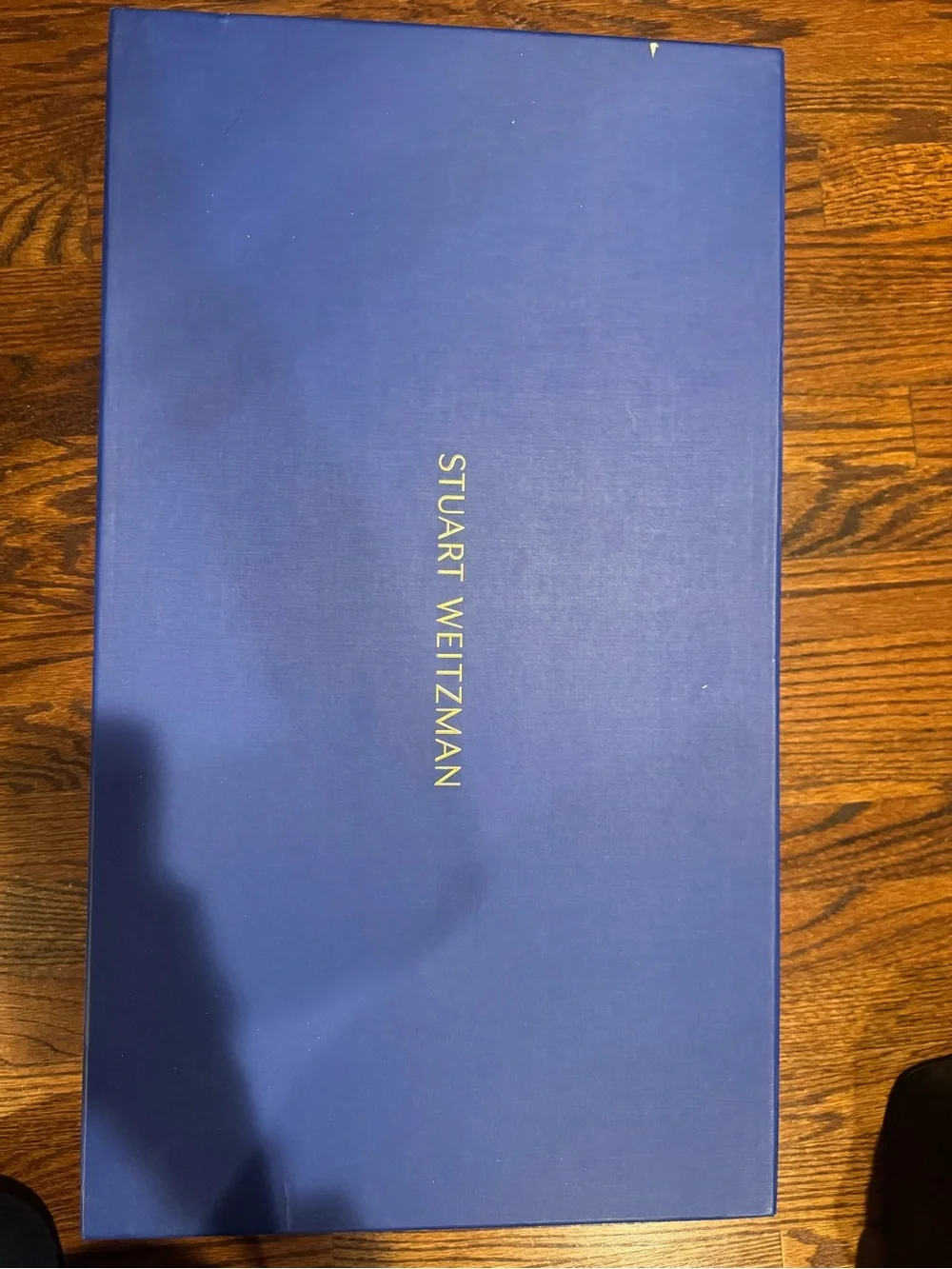 Stuart Weitzman sleek over