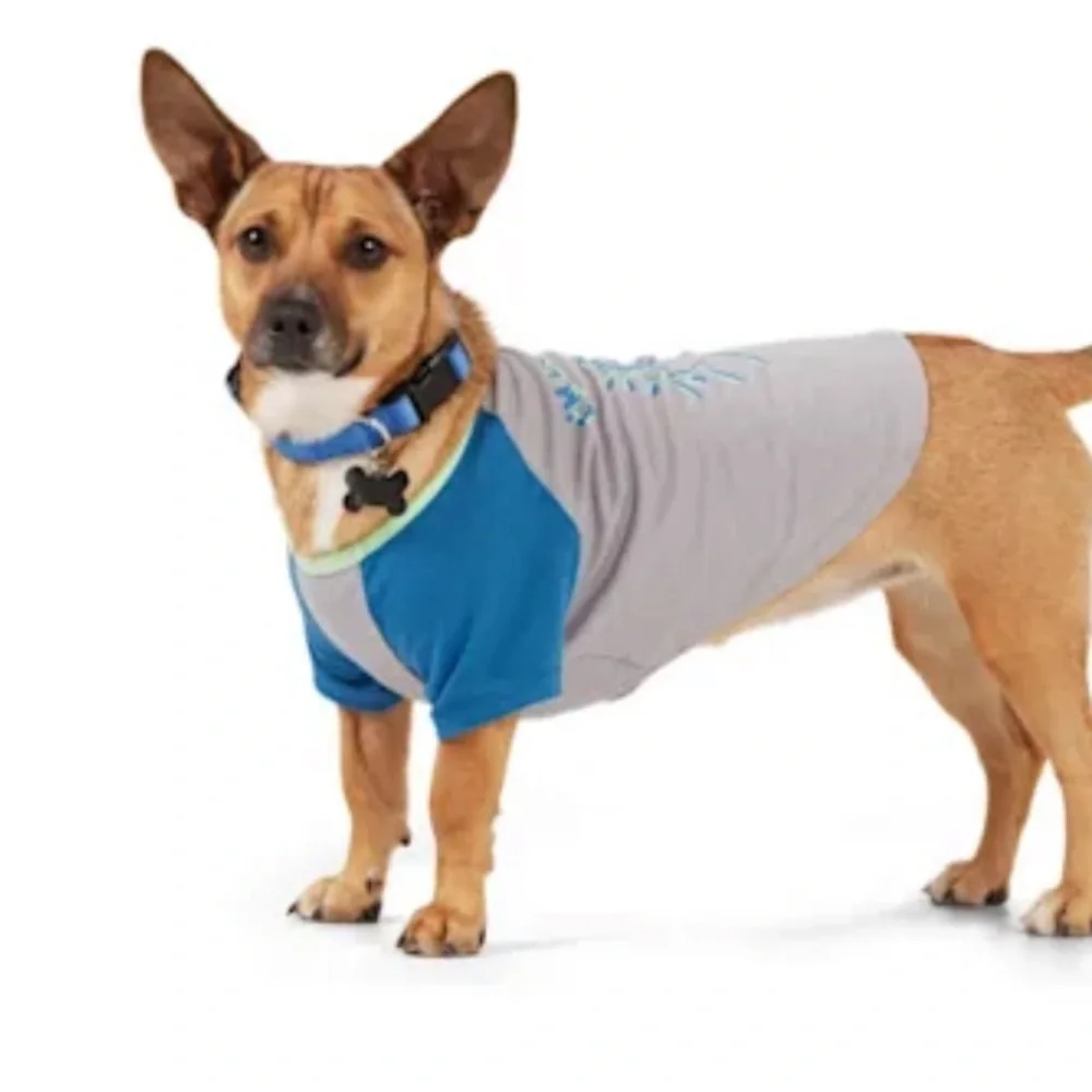 NWT Youly “the Comic” Down Dog T-shirt M