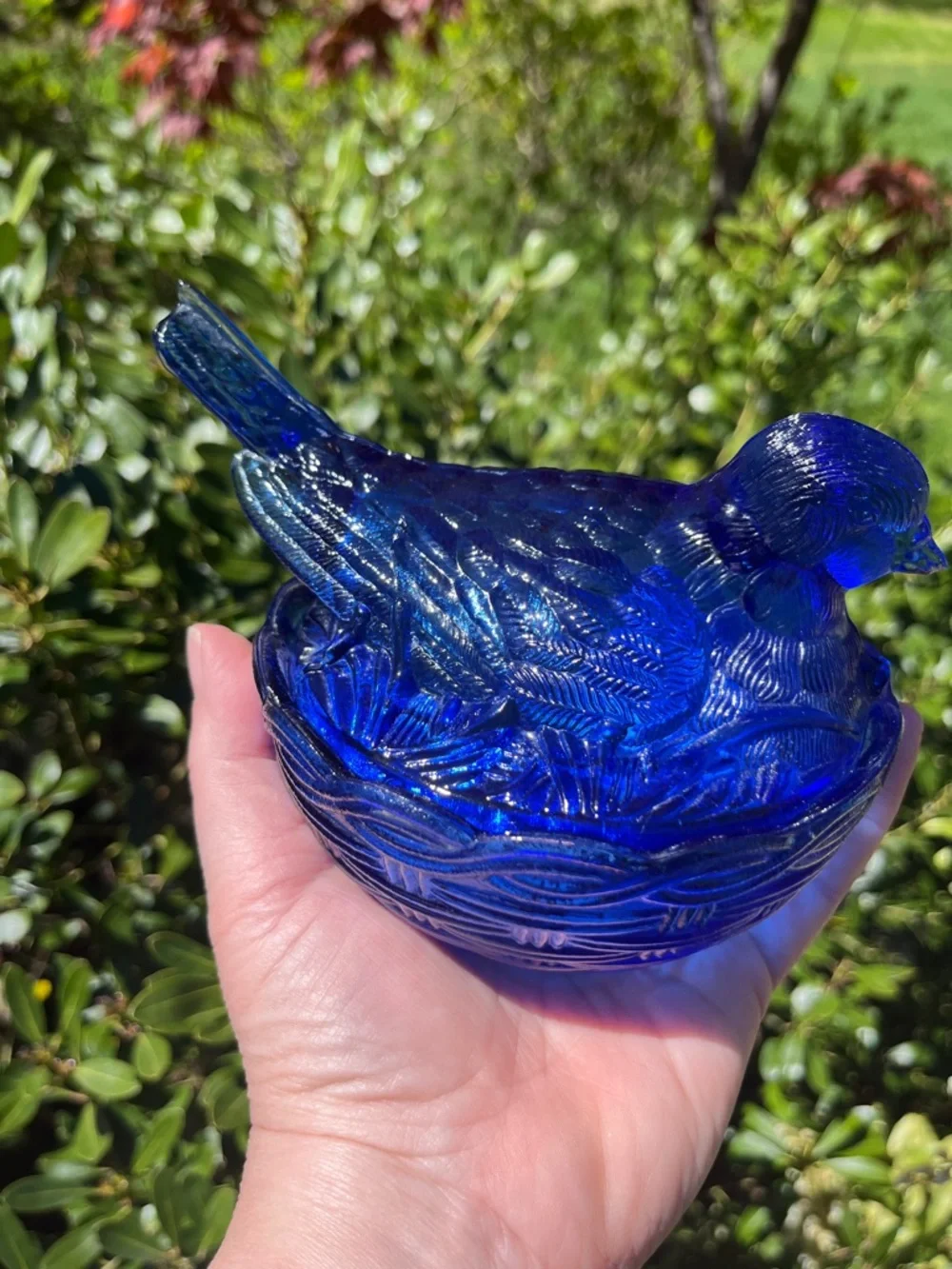 Hsinchu vintage cobalt